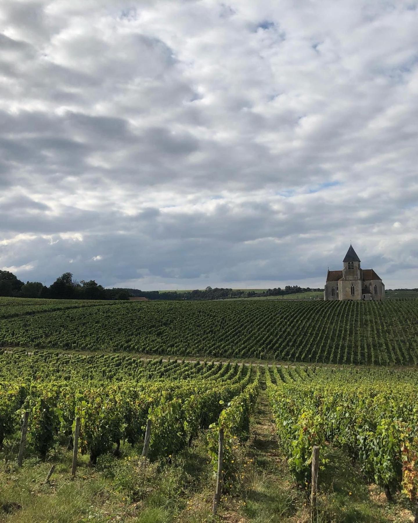 Maison De Pauline, Chablis Vineyard Préhy Quarto foto